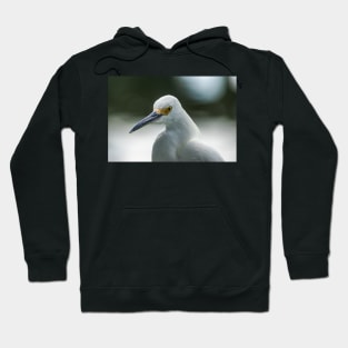 Snowy Egret Hoodie